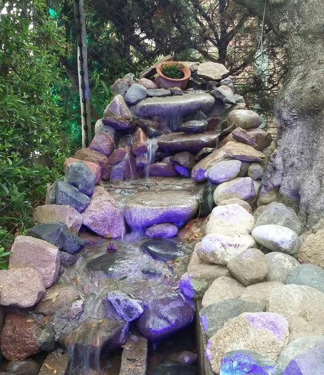 Guesthouse El Tata Vistalba Pokój zdjęcie