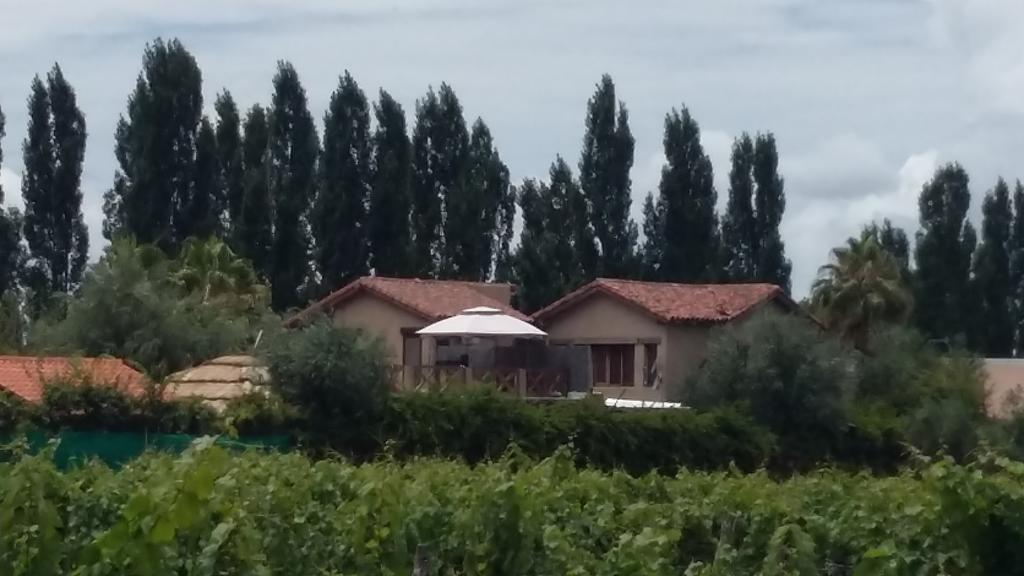Guesthouse El Tata Vistalba Zewnętrze zdjęcie